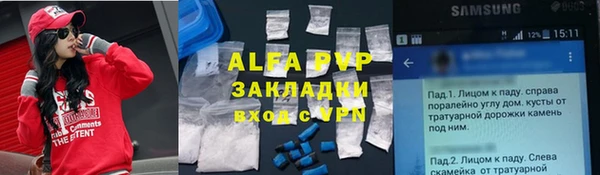 мет Алексин