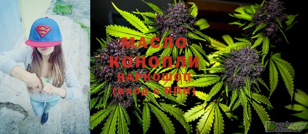 мет Алексин