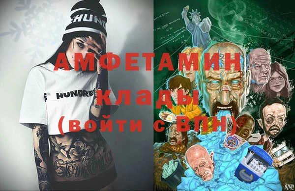 мет Алексин