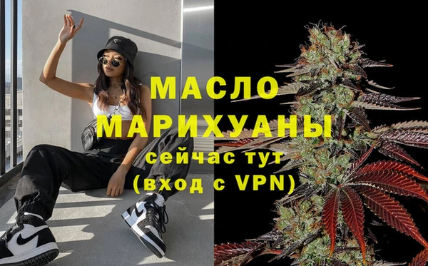 мет Алексин