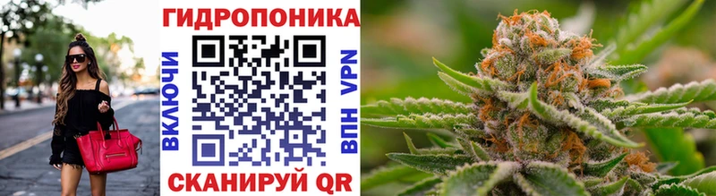 Бошки марихуана семена Канск